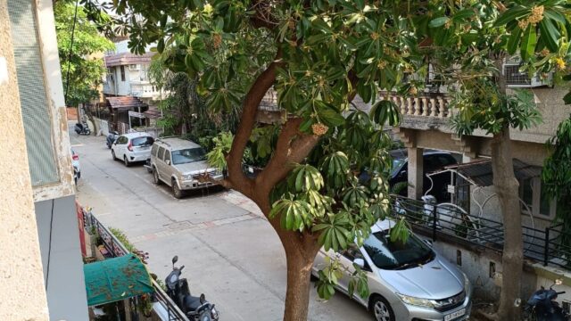 WhatsApp Image 2025-05-23 at 11.43.09 AM (1)